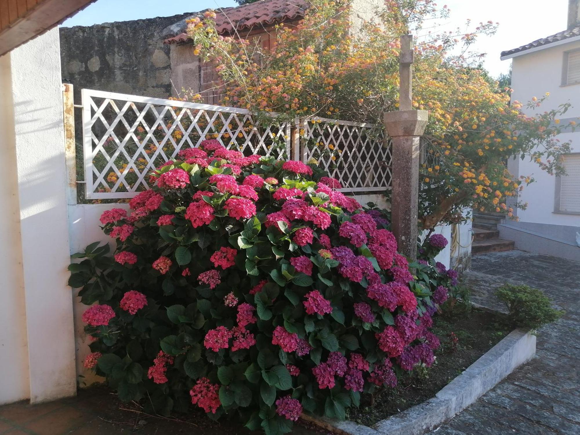 Casa Reboredo Pontevedra Exterior foto